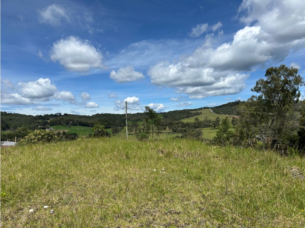 Lote para la venta, alto de las palmas, Envigado — foto 2