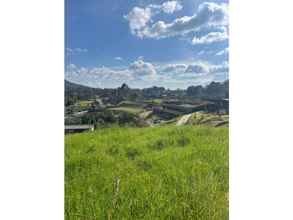 Lote en Alto de las Palmas — foto 3