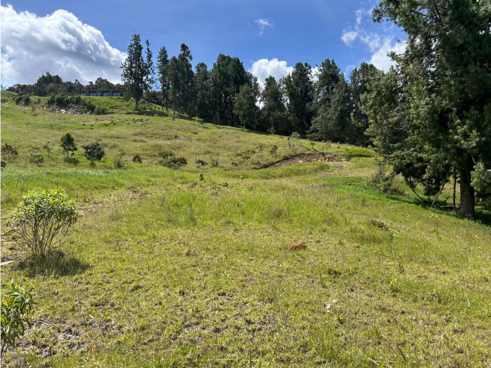 Lote para la venta, alto de las palmas, Envigado — foto 3