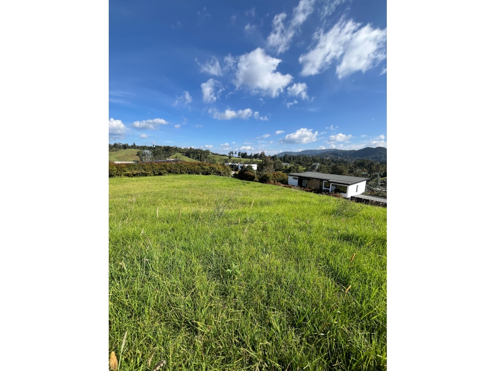 Lote en Alto de las Palmas — foto 4