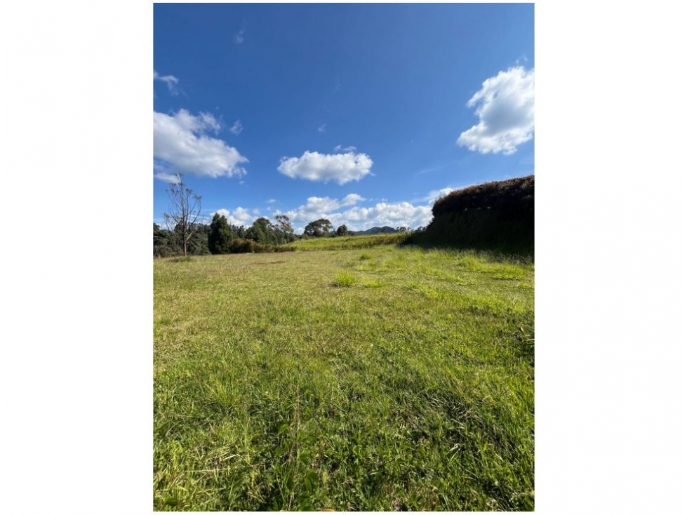 LOTE ubicado al interior de la unidad con bosque natural — foto 4
