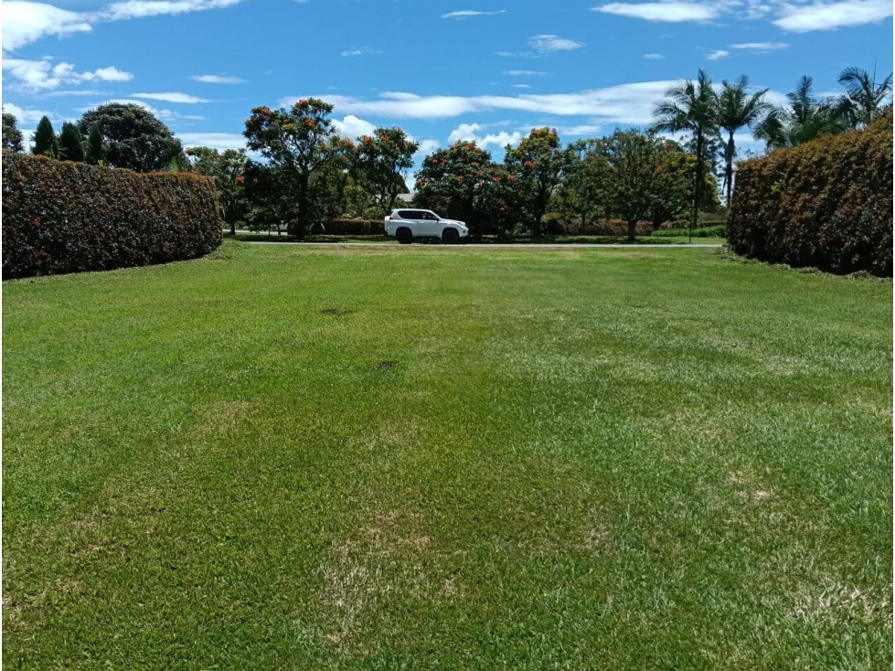 Lote en Llanogrande