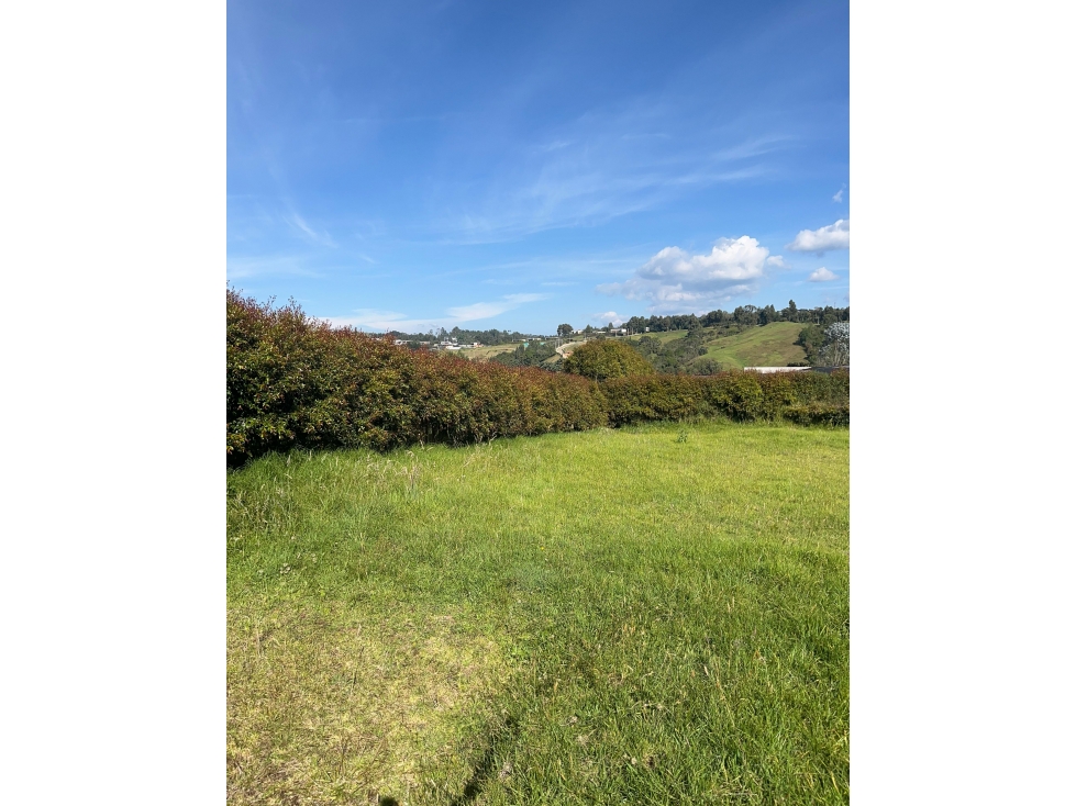 Lote en Alto de las Palmas — foto 5
