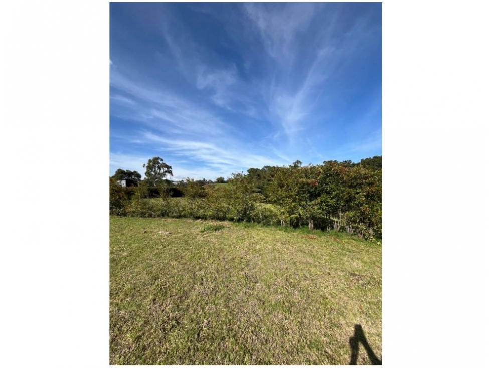 LOTE espectacular ubicado en calle cerrada con bosque he hilo de agua — foto 5