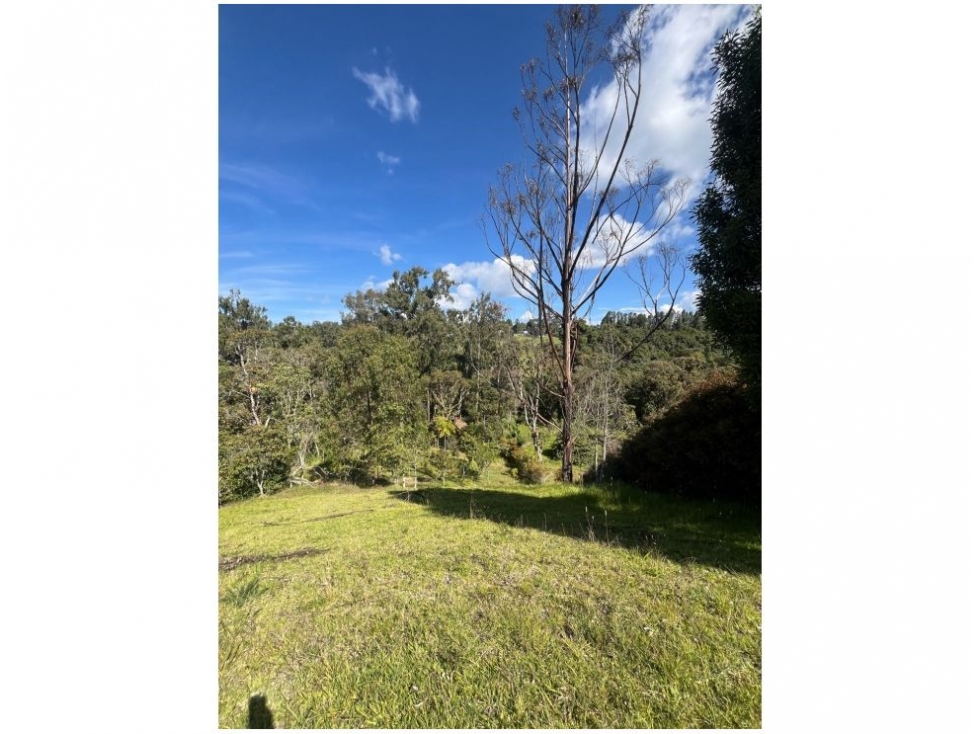 LOTE ubicado al interior de la unidad con bosque natural — foto 5
