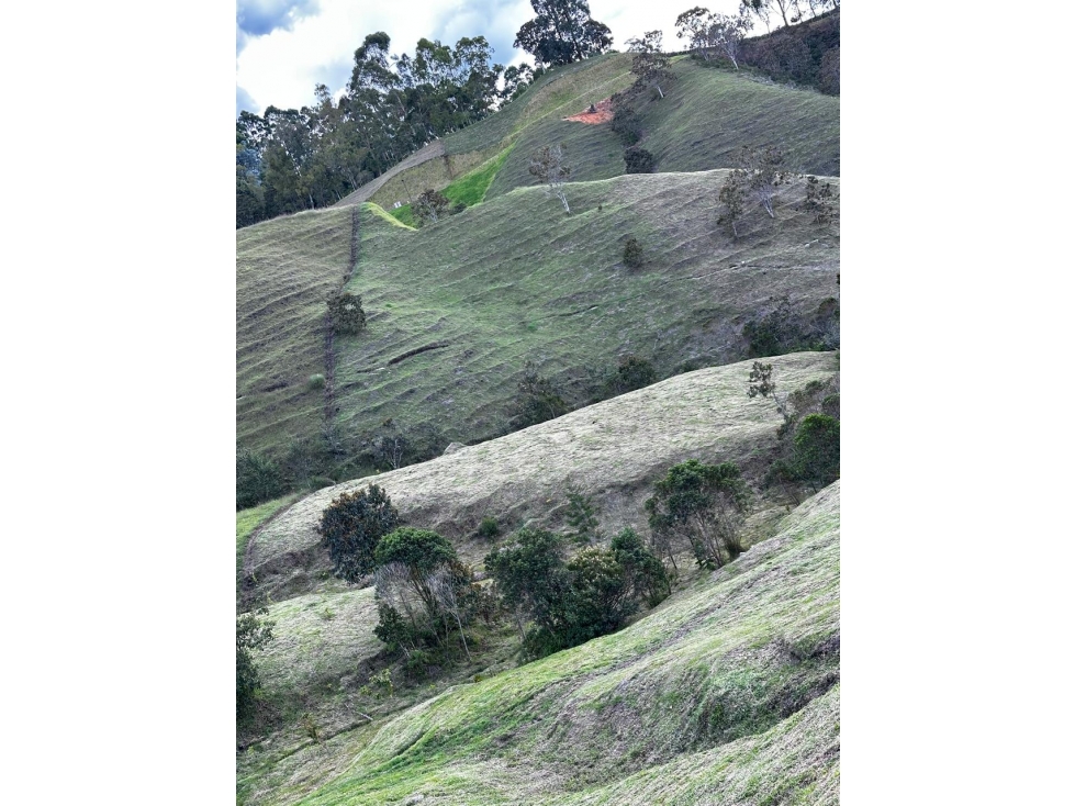 Lote en venta en El Retiro, Antioquia — foto 3