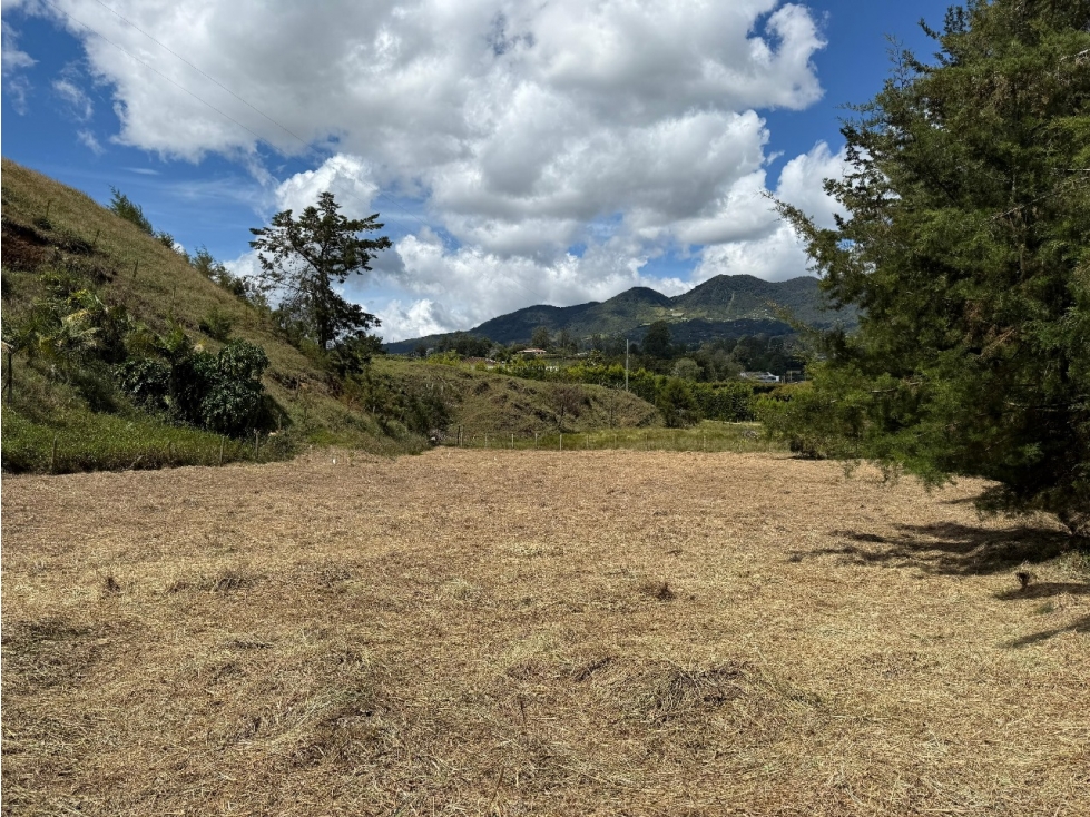 UNO O DOS LOTES ENTRE SAN ANTONIO DE PEREIRA Y LA CEJA INDEP. COLEGA