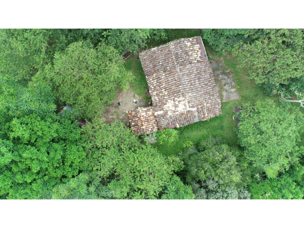 VENTA TERRENO FROTINO VEREDA CABRAS — foto 3