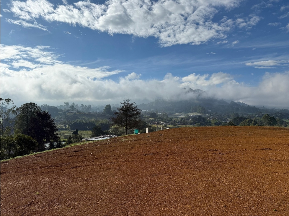 UNO O DOS LOTES ENTRE SAN ANTONIO DE PEREIRA Y LA CEJA INDEP. COLEGA — foto 2