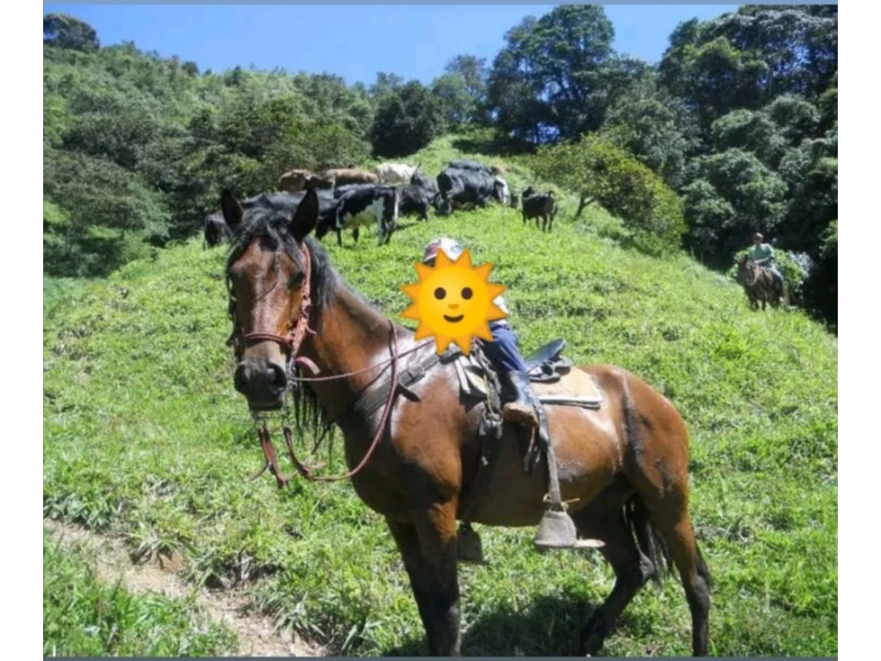 VENTA TERRENO FROTINO VEREDA CABRAS — foto 4