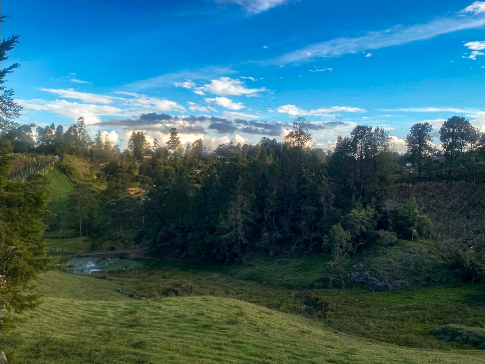CASA DE DESCANSO EN GUARNE — foto 2