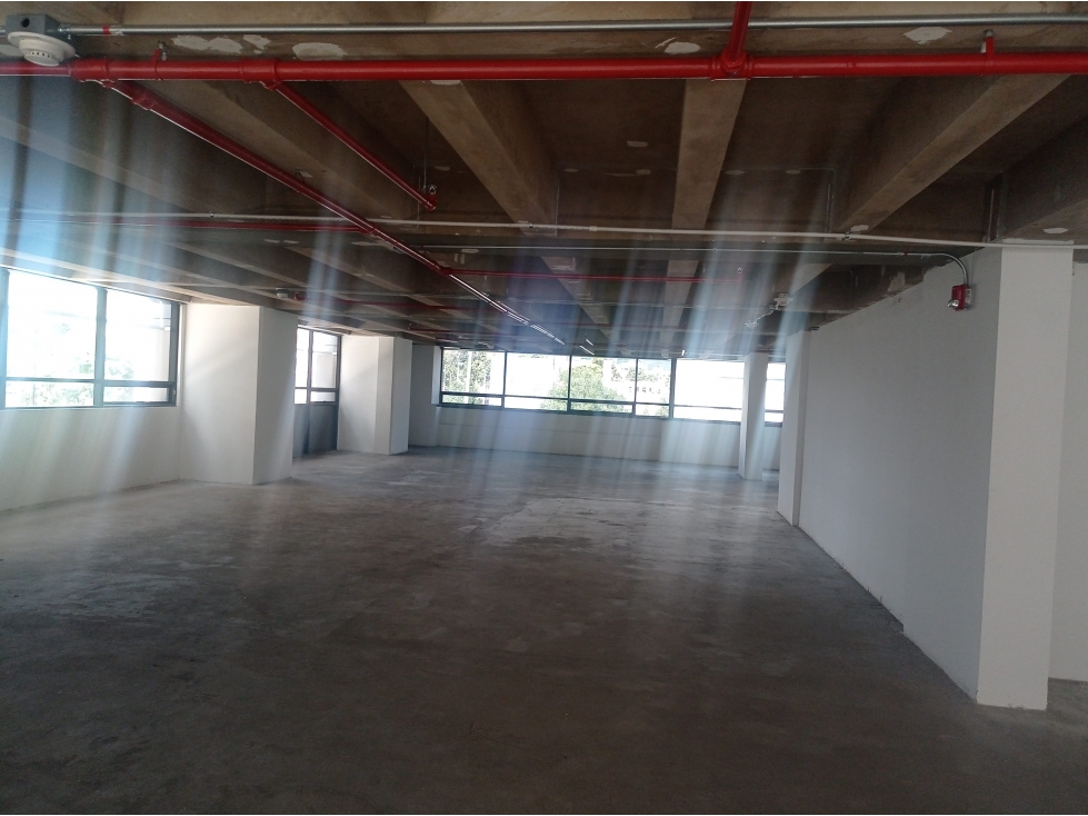 OFICINA ARRIENDO 604 M2 CALLE 100 ENTRE CRA 7 Y 9 OPCIÓN DE AMOBLAR — foto 5