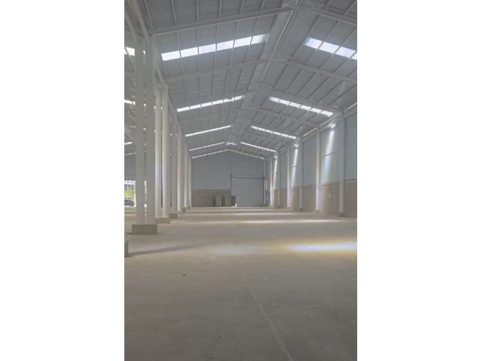 VENDO BODEGA PALMASECA