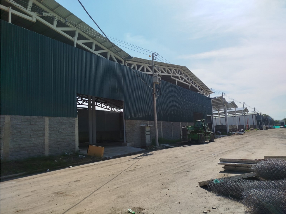VENDO BODEGA PALMASECA — foto 5