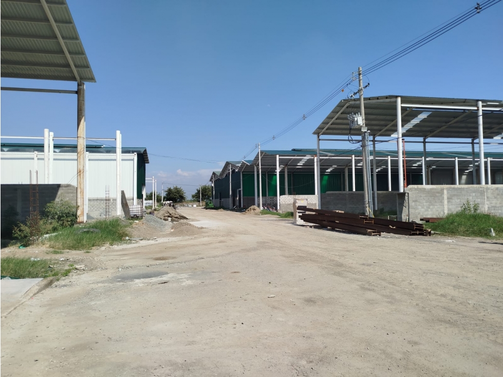 VENDO BODEGA PALMASECA — foto 6