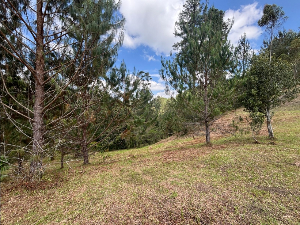 Se vende lote en el Retiro, Vía Don Diego-La Ceja — foto 3