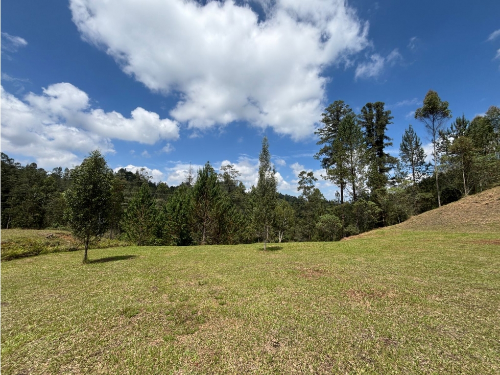 Se vende lote en el Retiro, Vía Don Diego-La Ceja — foto 2
