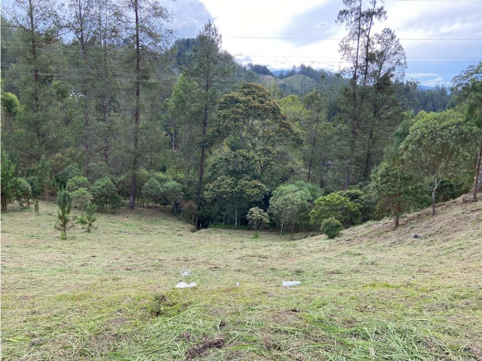 Se vende lote en el Retiro, Vía Don Diego-La Ceja — foto 4