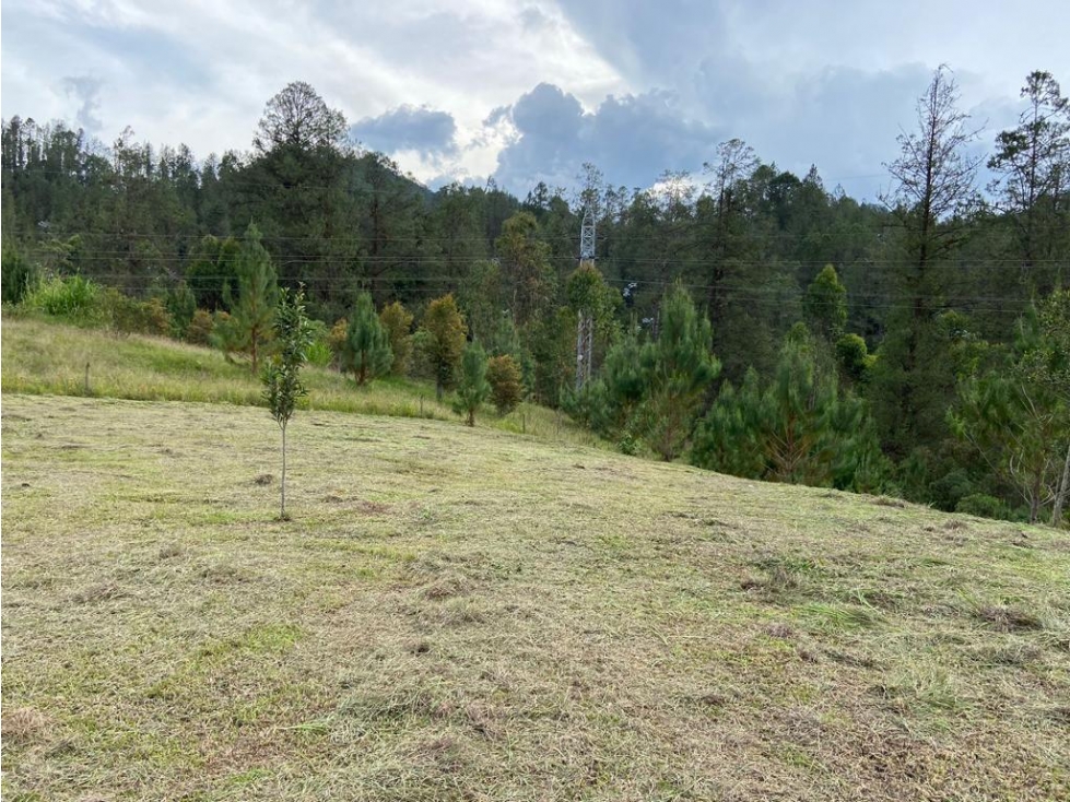 Se vende lote en el Retiro, Vía Don Diego-La Ceja — foto 6