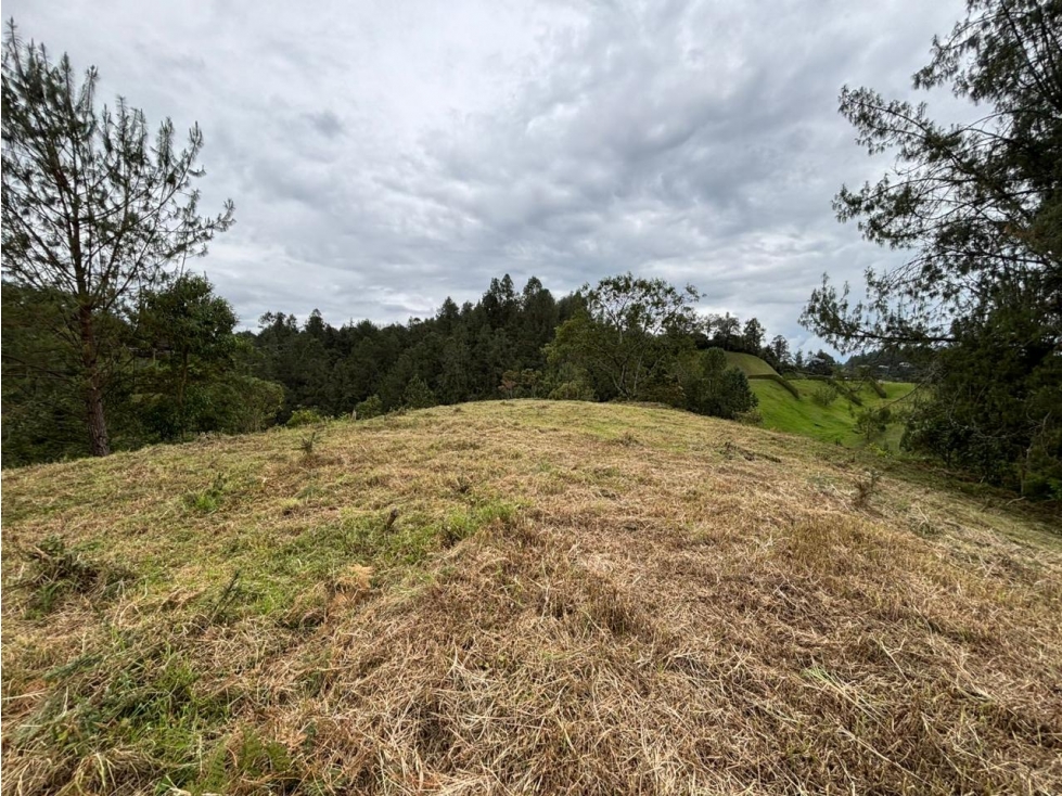 Se vende lote en el alto de Las Palmas — foto 6