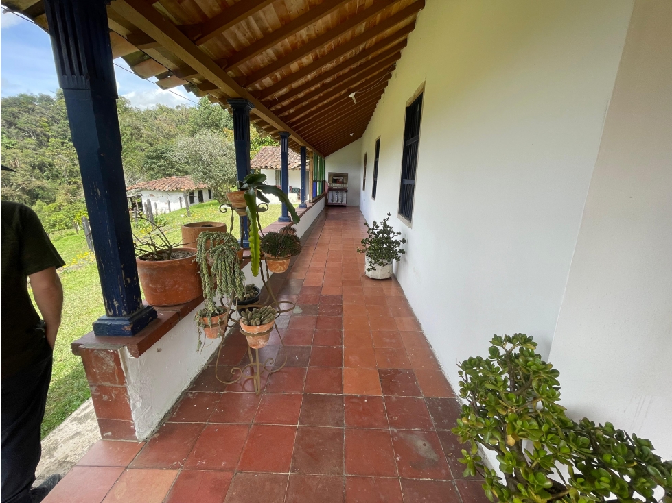 Finca con pesebrera y lote para desarrollo Rionegro Sector Sajonia — foto 4
