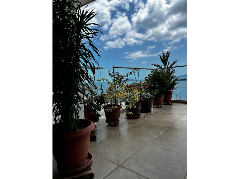 ALQUILER APARTAMENTO AMOBLADO 2 RECÁMARAS AMADOR NAOS PT — foto 4