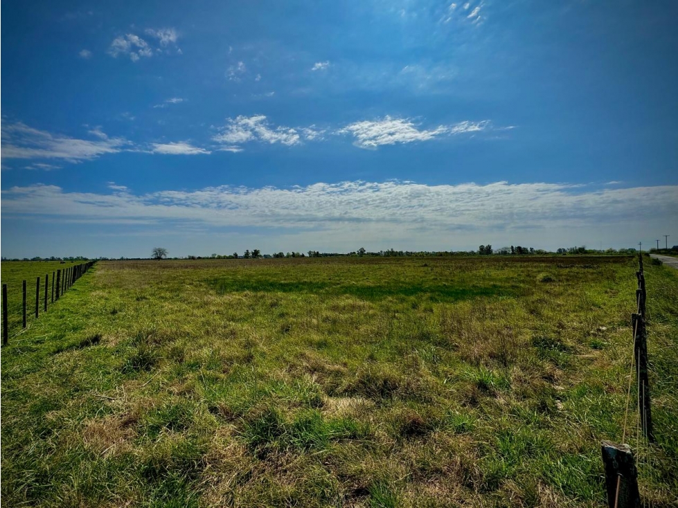Venta Campo sobre la ruta 47 km 6 - 6