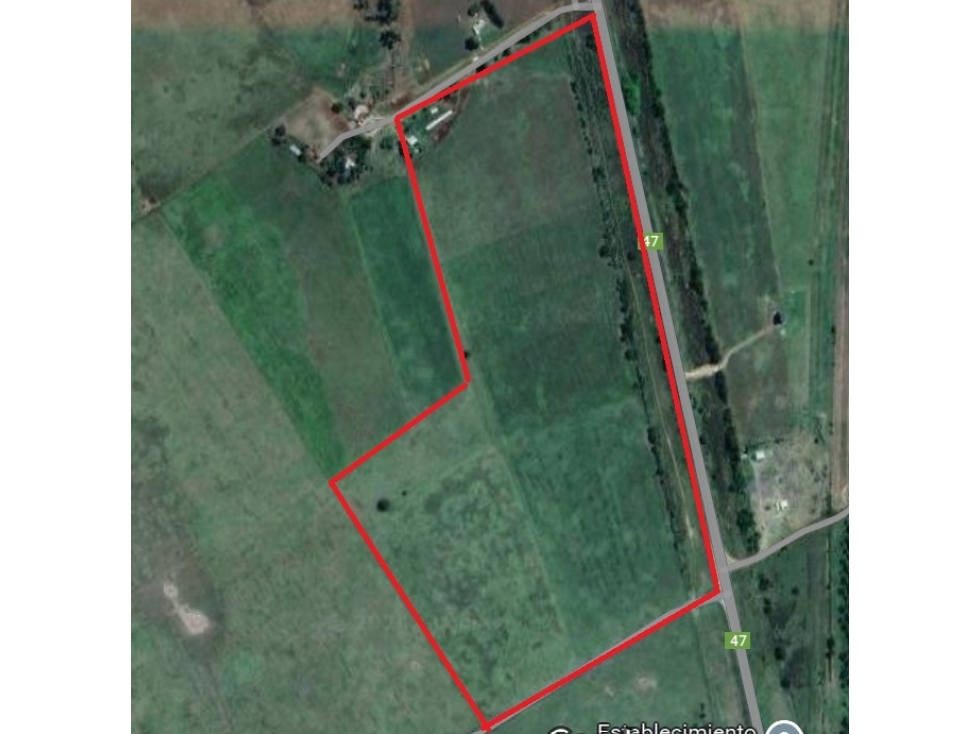 Venta Campo sobre la ruta 47 km 6 - 1