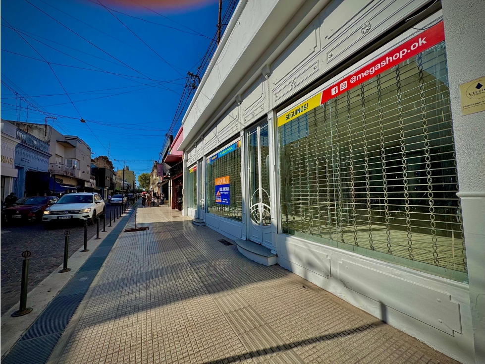 Alquiler Local Comercial Lujan Centro San Martin 421 - 3