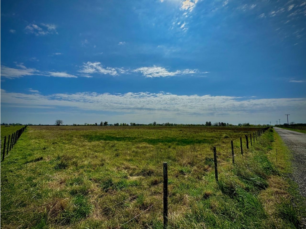 Venta Campo sobre la ruta 47 km 6 - 4