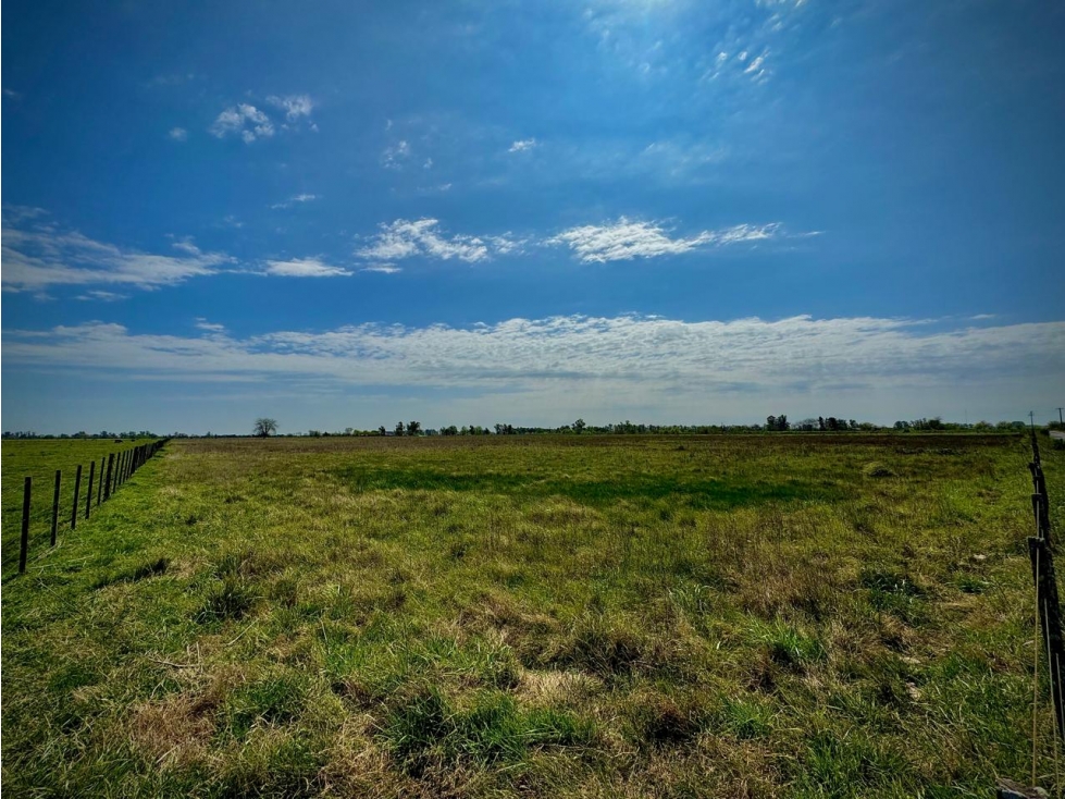 Venta Campo sobre la ruta 47 km 6 - 3