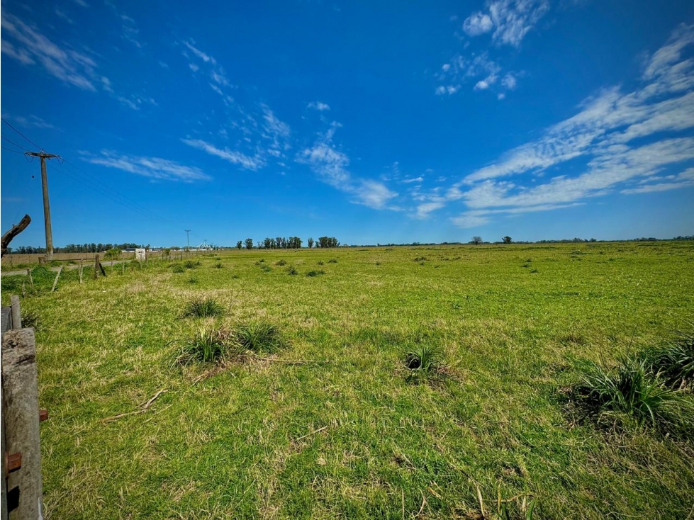 Venta Campo sobre la ruta 47 km 6 - 5