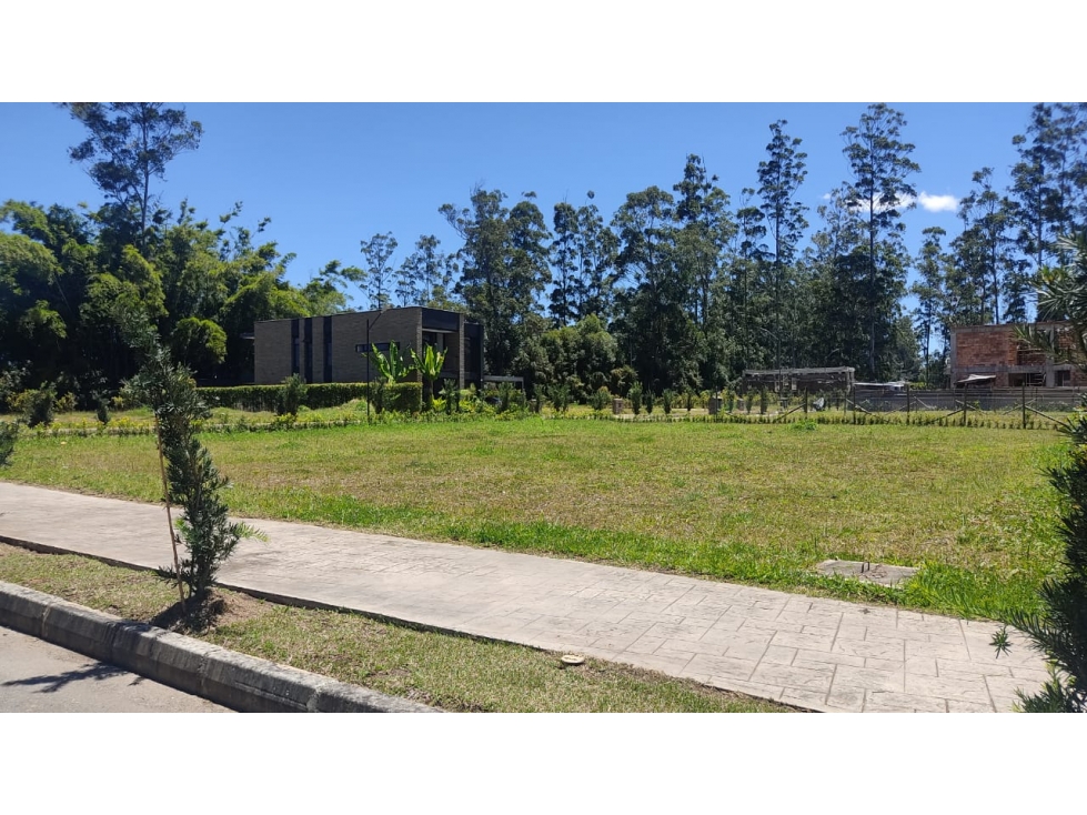 Lote Llanogrande - 1