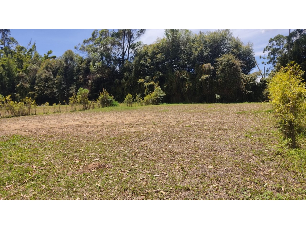 Lote Llanogrande