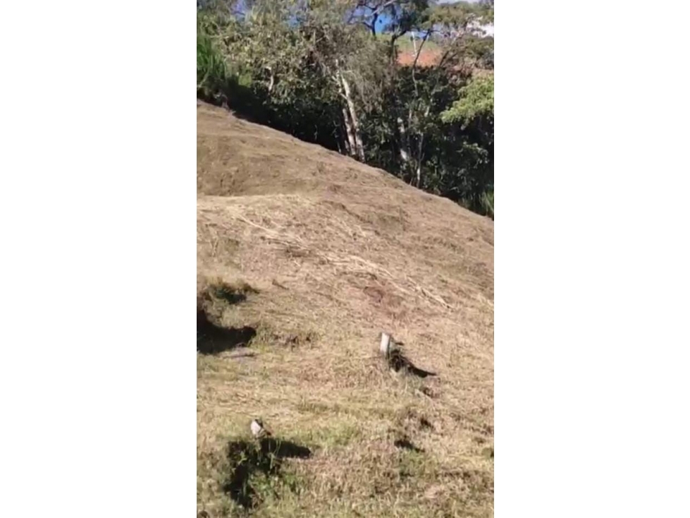 Lote Vereda el Carmelo — foto 3