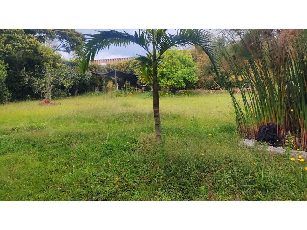 Casa Campestre en Parcelación Gualanday - Llanogrande — foto 5
