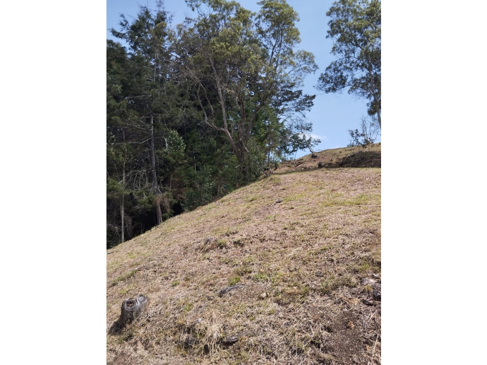 LOTE EN VENTA RIONEGRO CON PRECIO DE OPORTUNIDAD