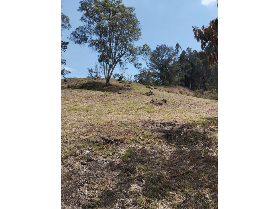 PRECIO DE OPORTUNIDAD LOTE SOPETRAN