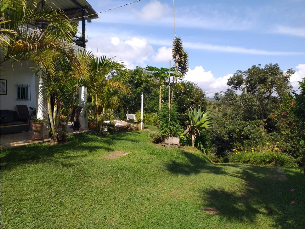 SE VENDE FINCA EL PEÑOL CERCA A LA REPRESA * — foto 5
