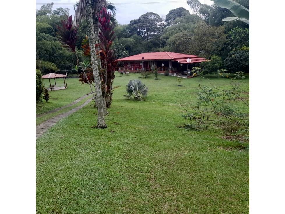 FINCA CON 6.225 M2 PLANOS EN VENTA EN COMBIA PEREIRA