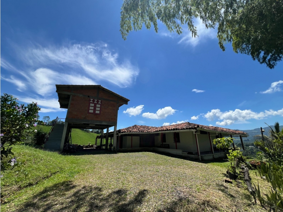 Venta de Finca y lote 22.000 m2 en Combia Pereira