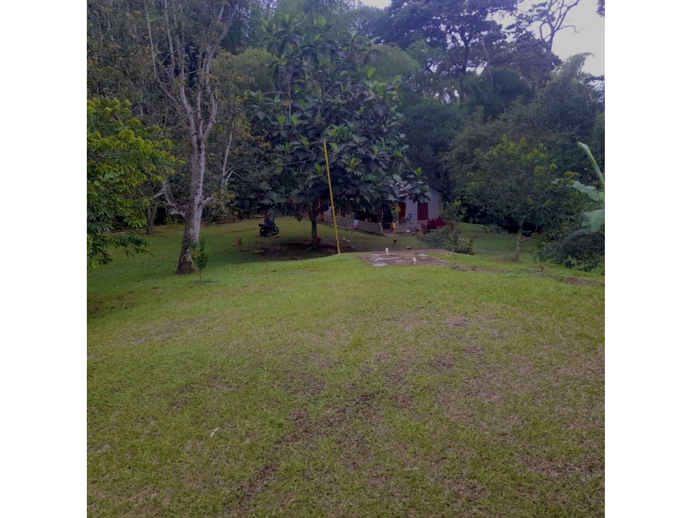 FINCA CON 6.225 M2 PLANOS EN VENTA EN COMBIA PEREIRA — foto 3