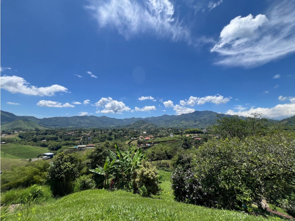 Venta de Finca y lote 22.000 m2 en Combia Pereira — foto 3
