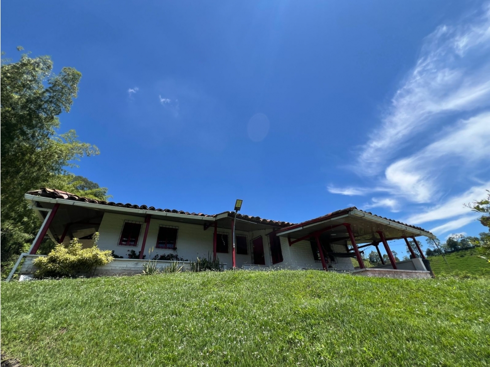 Venta de Finca y lote 22.000 m2 en Combia Pereira — foto 4