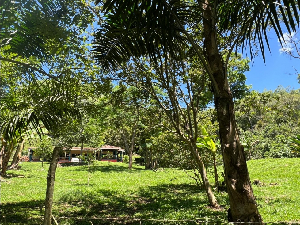 Venta de Finca Sector Combia Pereira