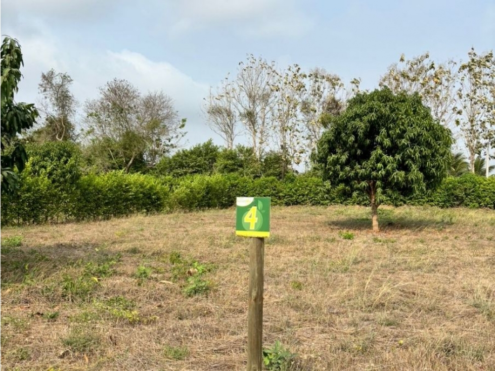 LOTES CON ESCRITURACIÓN INMEDIATA EN TURBACO- LOS NARANJOS RESERVADO - 2