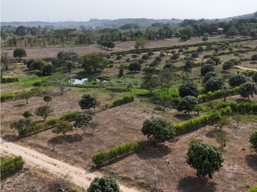 LOTES CON ESCRITURACIÓN INMEDIATA EN TURBACO- LOS NARANJOS RESERVADO - 3