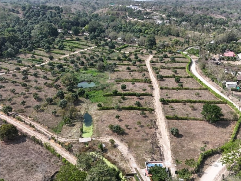 LOTES CON ESCRITURACIÓN INMEDIATA EN TURBACO- LOS NARANJOS RESERVADO - 5