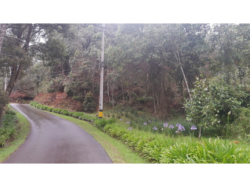 LFL-362-Lote Rural-Colinas San Sebastián-El Retiro-Carrizales