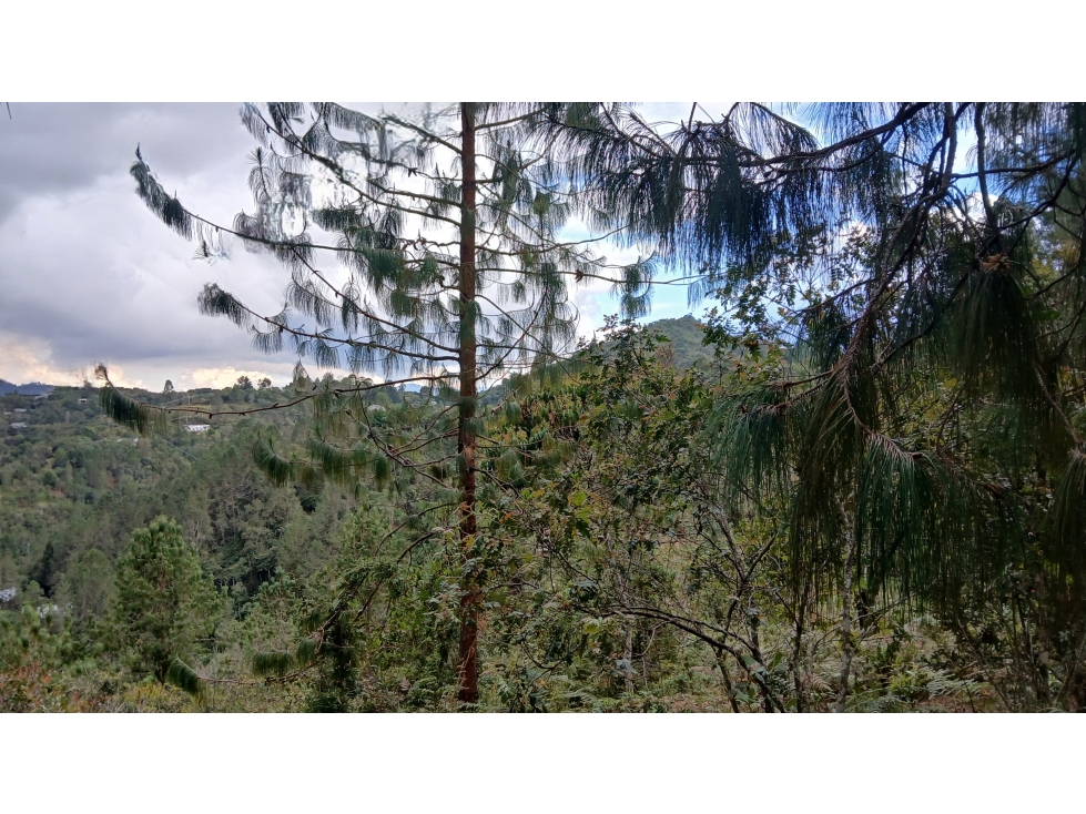 MH-536-Lote -.Parcelación La Cascada - El Retiro — foto 6